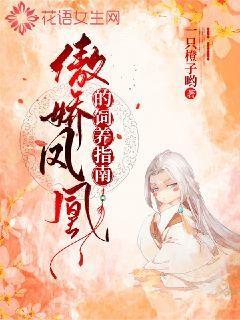 傲娇凤凰的饲养指南