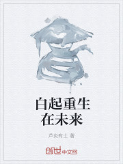 白起重生在未来