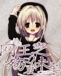 网王之殇夏未至