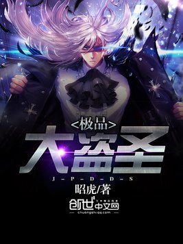 极品大盗圣