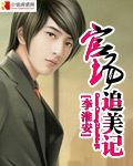 官场追美记