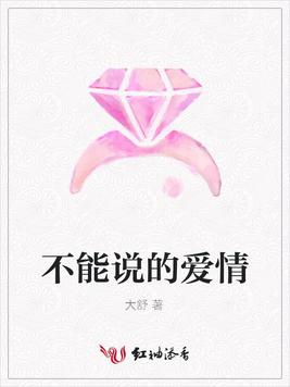 不能说的爱情