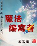 魔法编写者