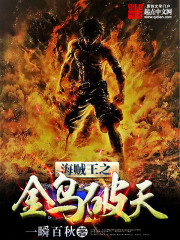 海贼王之金乌破天