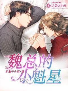 魏总的小魁星