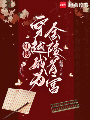 红楼：穿越成为金陵首