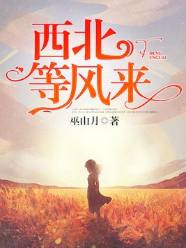 西北等风来