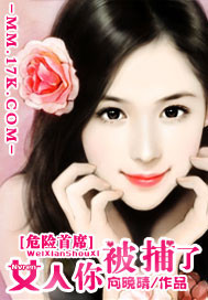 危险首席：女人，你被捕了