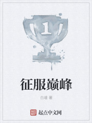 征服巅峰