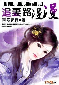 小妾带球跑：追妻路漫漫