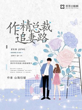作精总裁追妻路