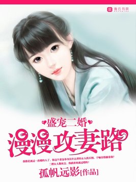盛宠二婚，漫漫攻妻路