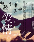 傲娇小妻子的爱情