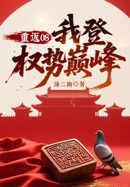 重返08：我登权势巅峰