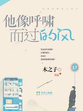 他像呼啸而过的风