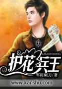 护花兵王