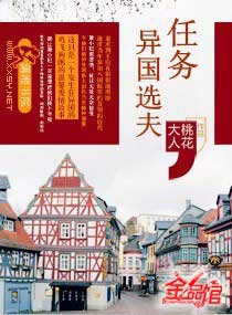 任务之异国选夫