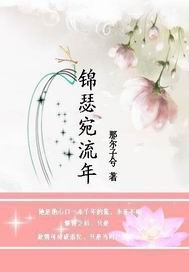 锦瑟宛流年