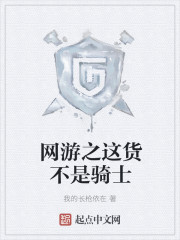 网游之这货不是骑士