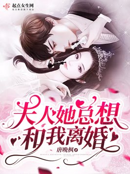 夫人她总想和我离婚