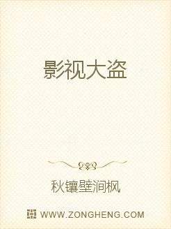 影视大盗