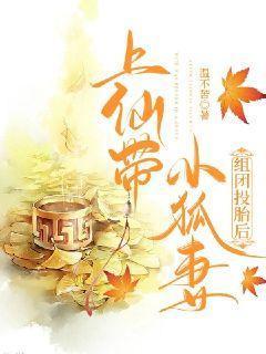 上仙带小狐妻组团投胎后