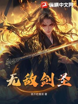 无敌剑圣