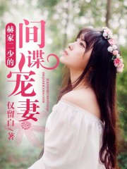 赫家二少的间谍宠妻