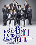 EXO之你们是我的唯一