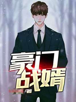 豪门战婿