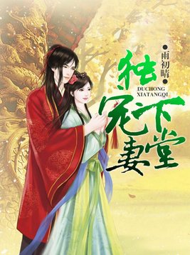 将心独宠，下堂妻的春天