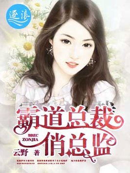 霸道总裁俏总监