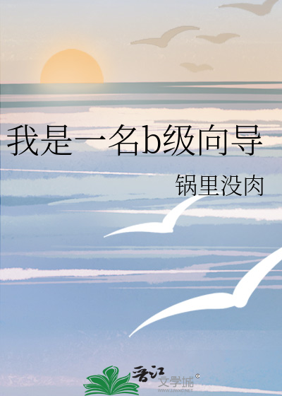 我是一名b级向
