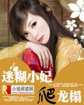 迷糊娇妃斗龙