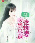 宠妻成瘾：腹黑总裁迷糊妻