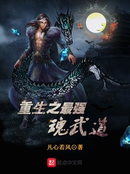 重生之最强魂武道