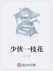 少侠一枝花
