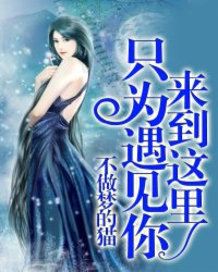 来到这里只为遇见你