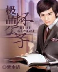 极品坏公子
