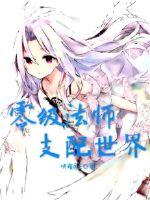 零级法师支配世