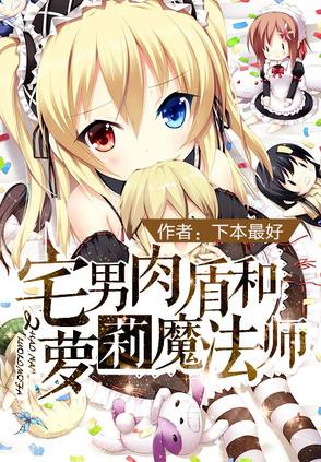 宅男肉盾和萝莉魔法师