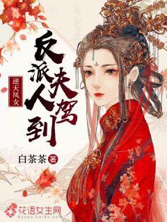 逆天凤女之反派夫人驾到