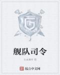 舰队司令