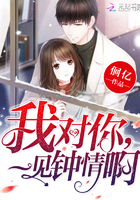 我对你，一见钟情啊