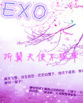 EXO之折翼天使不孤单