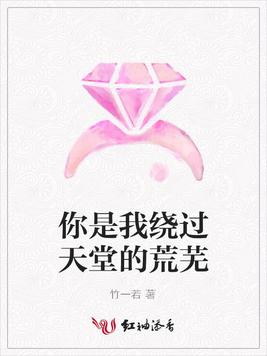 你是我绕过天堂的荒芜