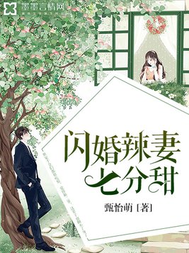 闪婚辣妻七分甜