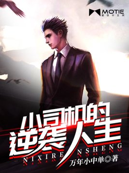 小司机的逆袭人生