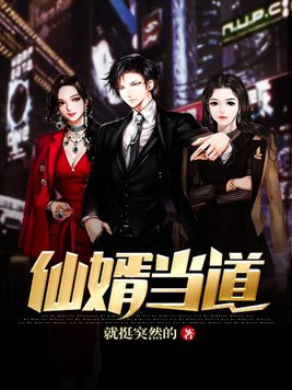 仙婿当道