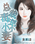 总裁毒宠小小妻